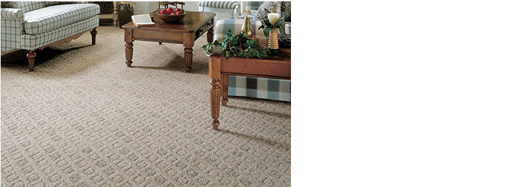 HomeCraft carpet living room